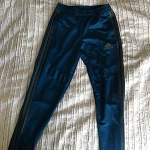 Adidas Blue Track Pant